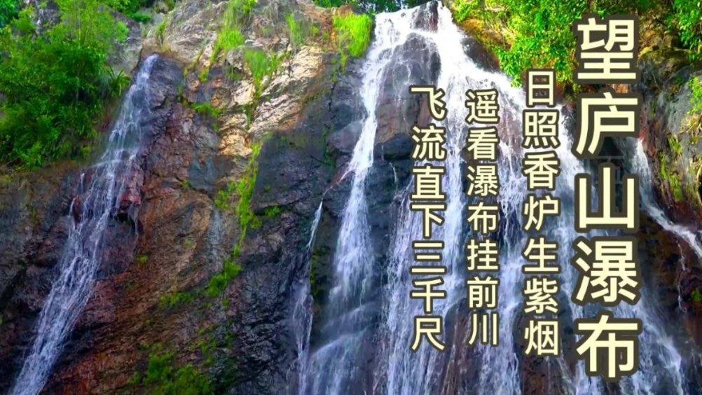 “医”线直击|体重228Kg!齐鲁医院救治国内最大身体质量指数ECMO患者